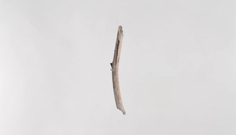 Là où nous sommes, une exposition de l&rsquo;association marcel.