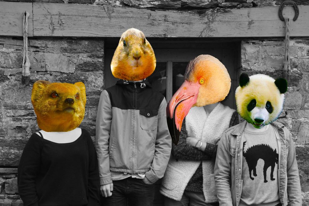 Chouette-groupe-musique-rock