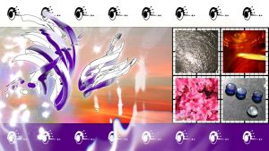 Nuits Indigo - Lambert Duchesne