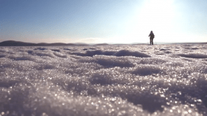 Blam & Log - "Bizarre Blizzard"