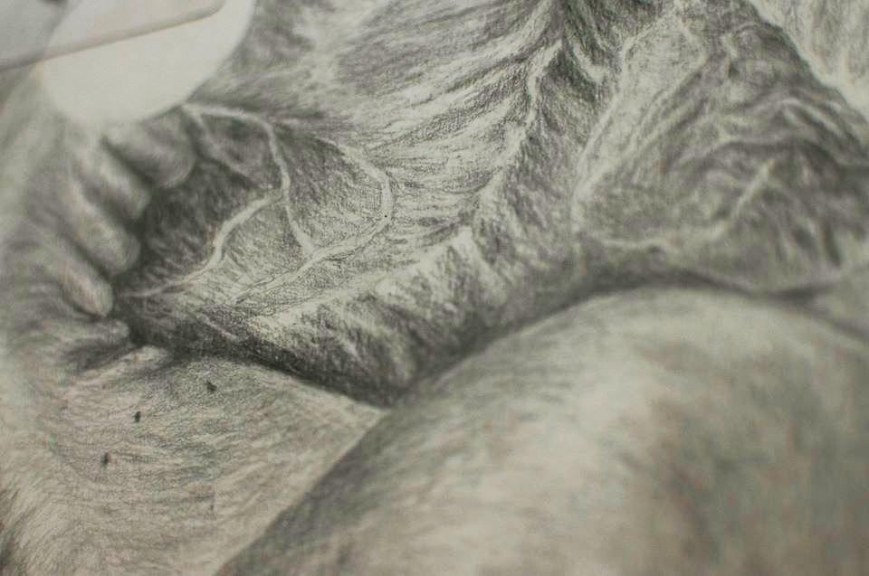 L'échine souple #2 (détail) 2017 ©Cornelia Eichorn