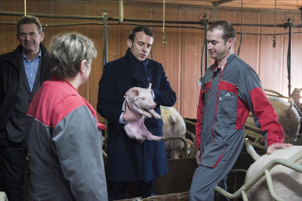 Emmanuel Macron tient, sceptique, un porcelet.