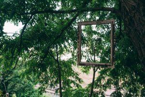 Shakirail ©Mathis D'Angelo