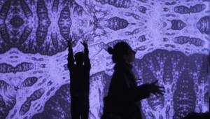 Ascidiacea - Audiokinesie manifesto21