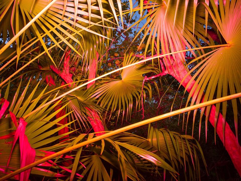 Manifesto 21 - Bushfires