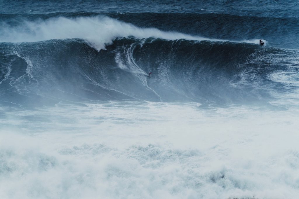 Manifesto 21 - molécule