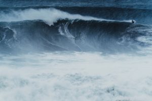 Manifesto 21 - molécule