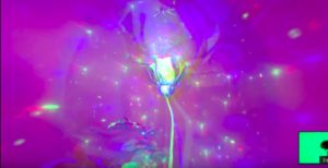 Manifesto 21 - Irene Dresel