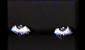 Manifesto 21 - Seul Ensemble