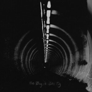 Manifesto 21 - the bug dis fig