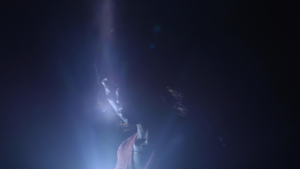 Manifesto 21 - Clips