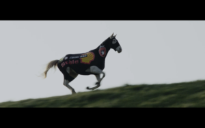 Manifesto 21 - Clips