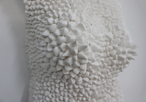 Banshee detail manifesto 21