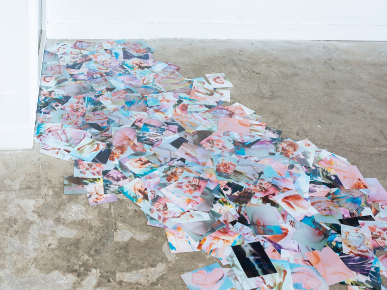 Lucile Boiron, une esthétique de la mise en pièces