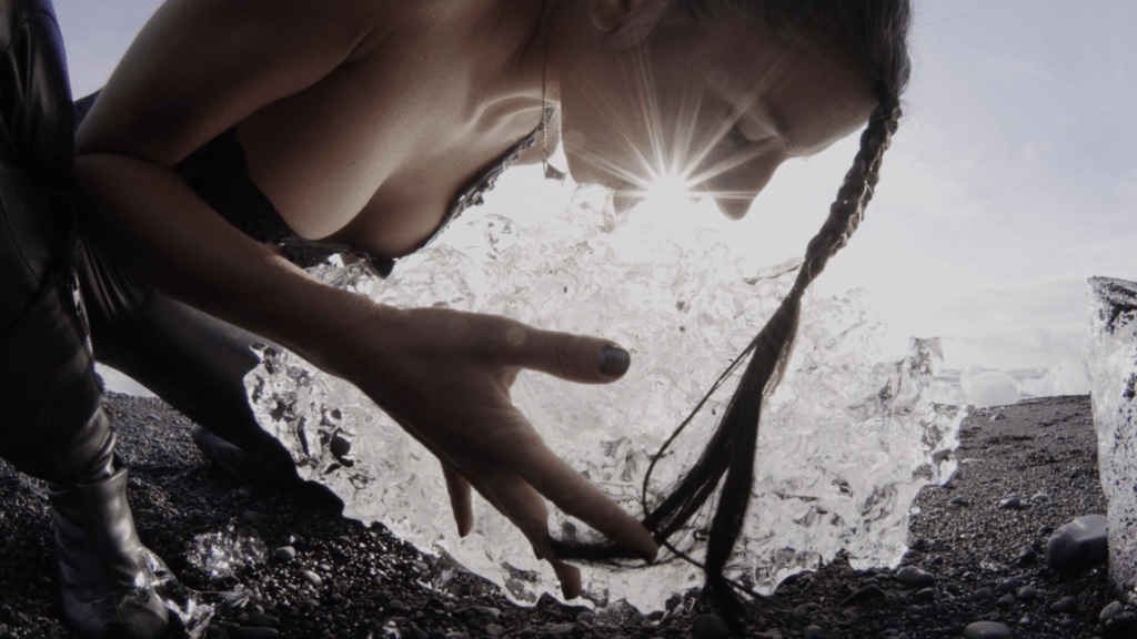 The Fall Alexi Shell